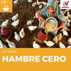 Hambre cero